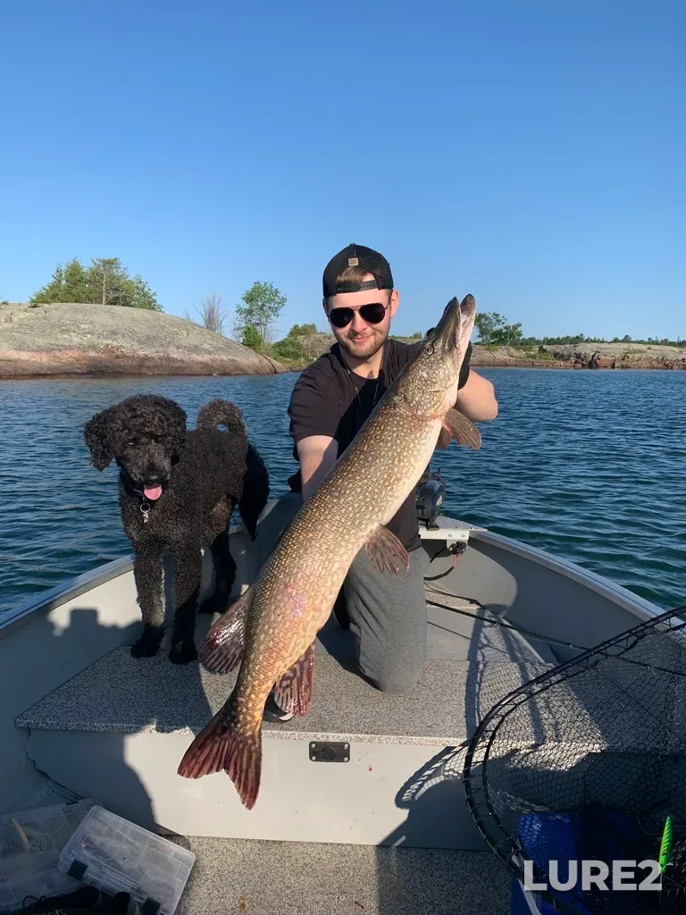 Pike — Lake Huron, Jul 01, 2024, 7:58 AM