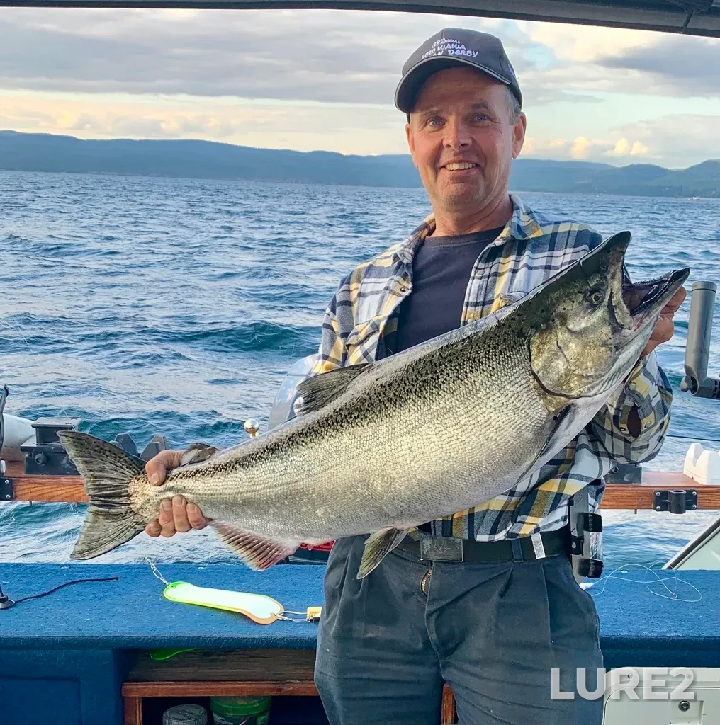 Chinook salmon — Magpie River, Aug 18, 2024, 6:31 PM