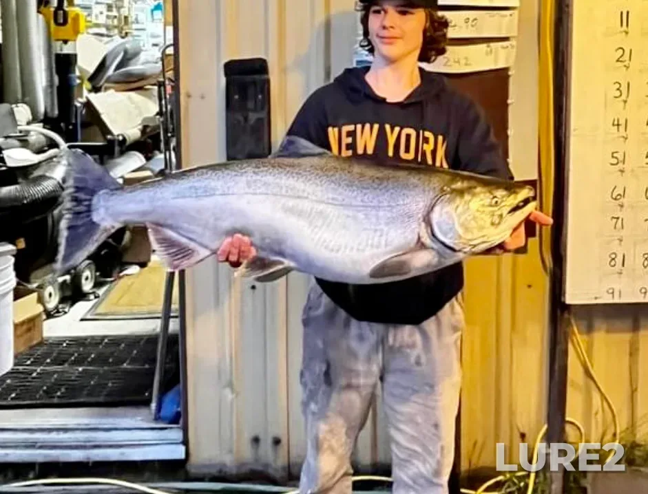 Chinook salmon — Michipicoten River, Aug 18, 2024, 6:43 PM