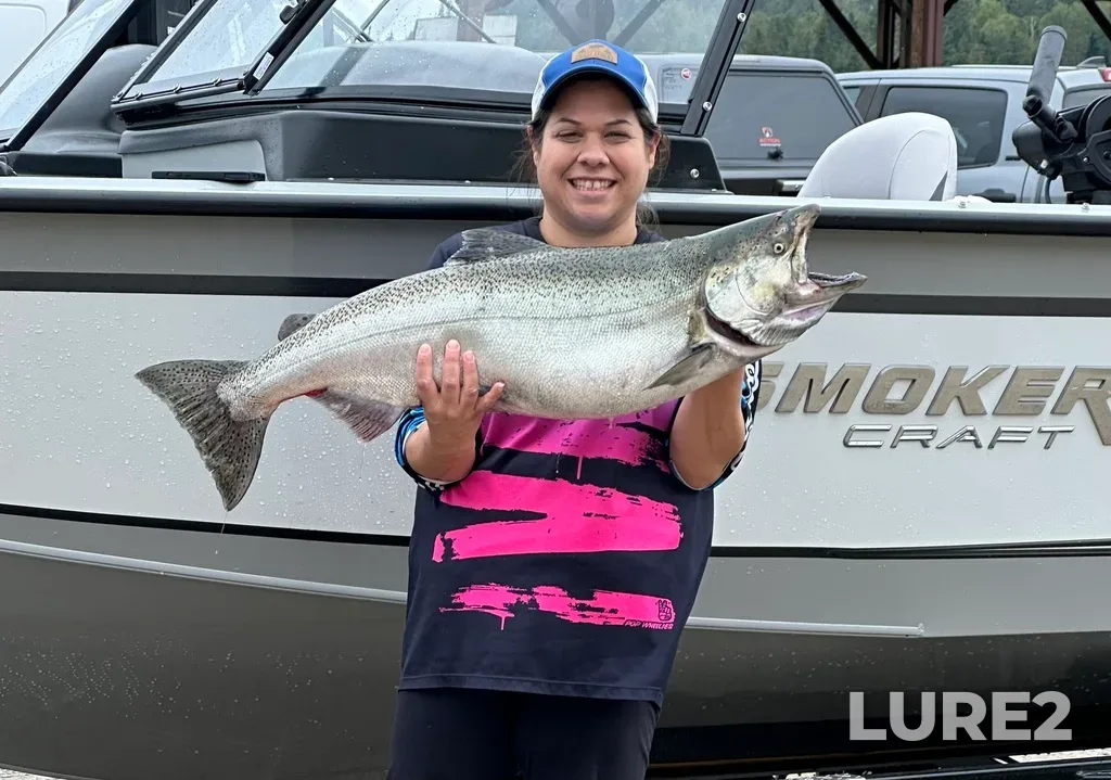 Chinook salmon — Michipicoten River, Aug 17, 2024, 10:18 AM