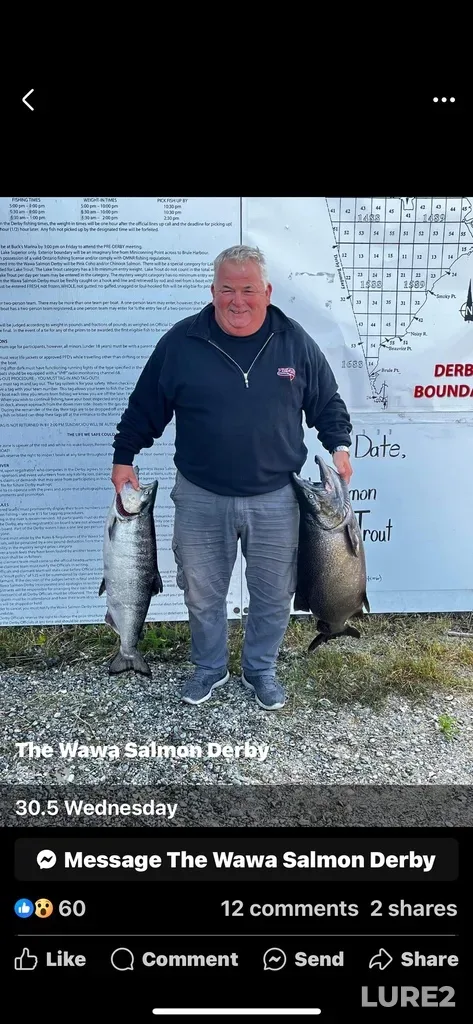 Chinook salmon — Magpie River, Aug 24, 2024, 8:56 PM