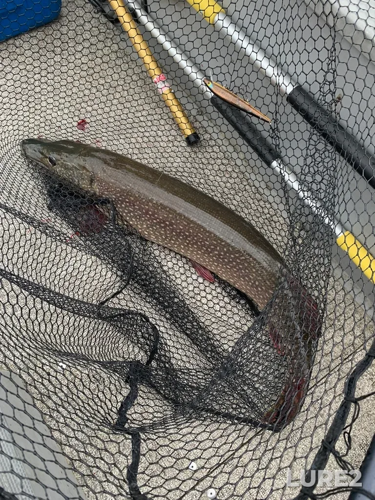 Pike — Lake Huron, Sep 21, 2024, 9:59 AM