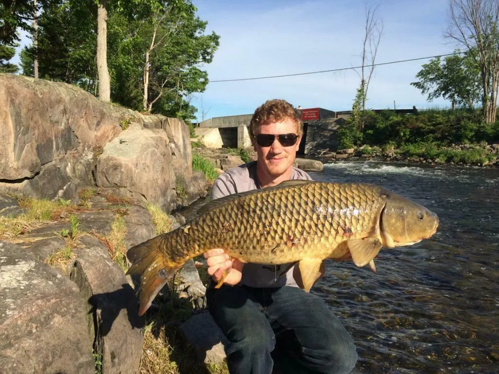 Carp — Lovesick Lake, Jun 6, 2015