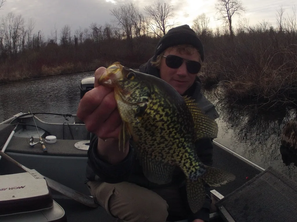 Black crappie — Rice Lake, Apr 19, 2015