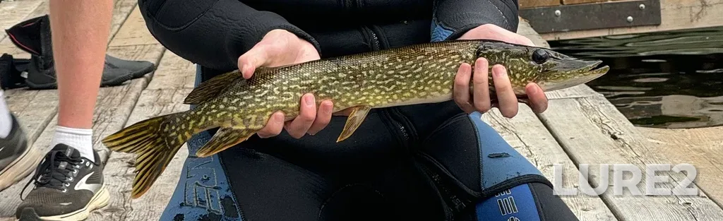 Pike — Opinicon Lake, Jul 16, 2024, 10:02 AM