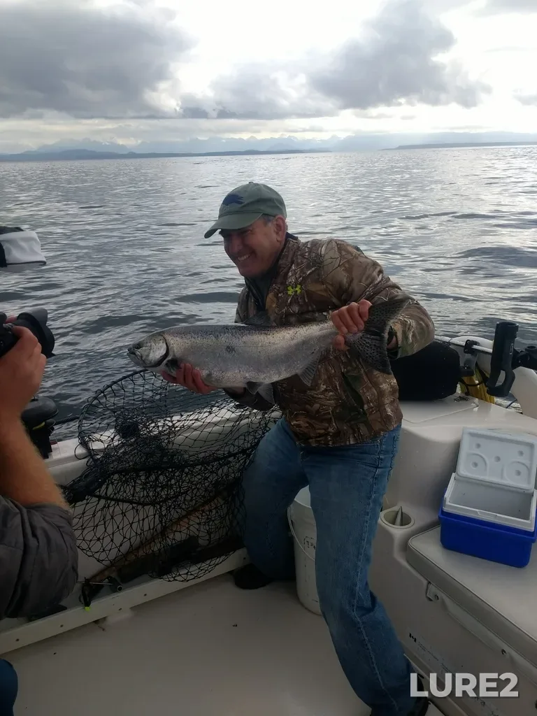 Chinook salmon — Strait of Georgia, May 18, 2019, 8:34 AM