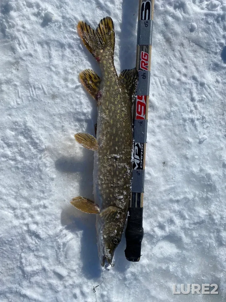 Pike — Lake Audy, Mar 23, 2025, 4:18 PM