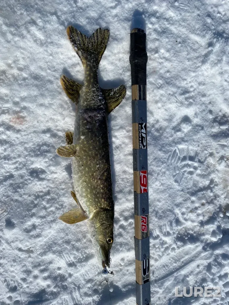 Pike — Lake Audy, Mar 23, 2025, 4:57 PM