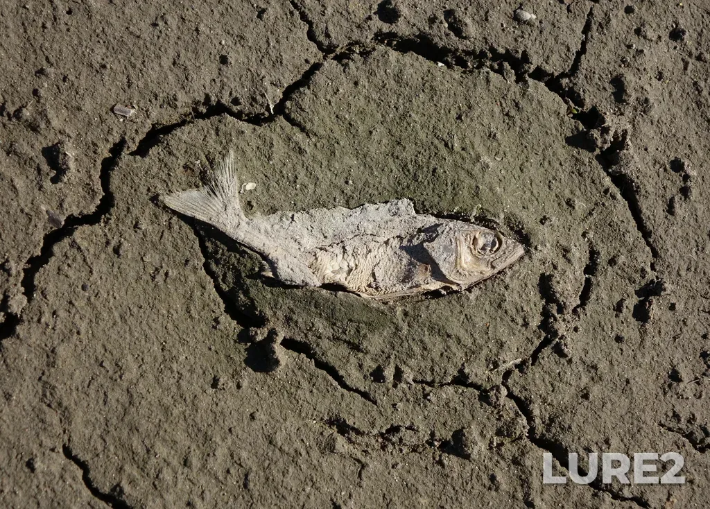 Perch — Berd, May 01, 2025, 4:16 PM