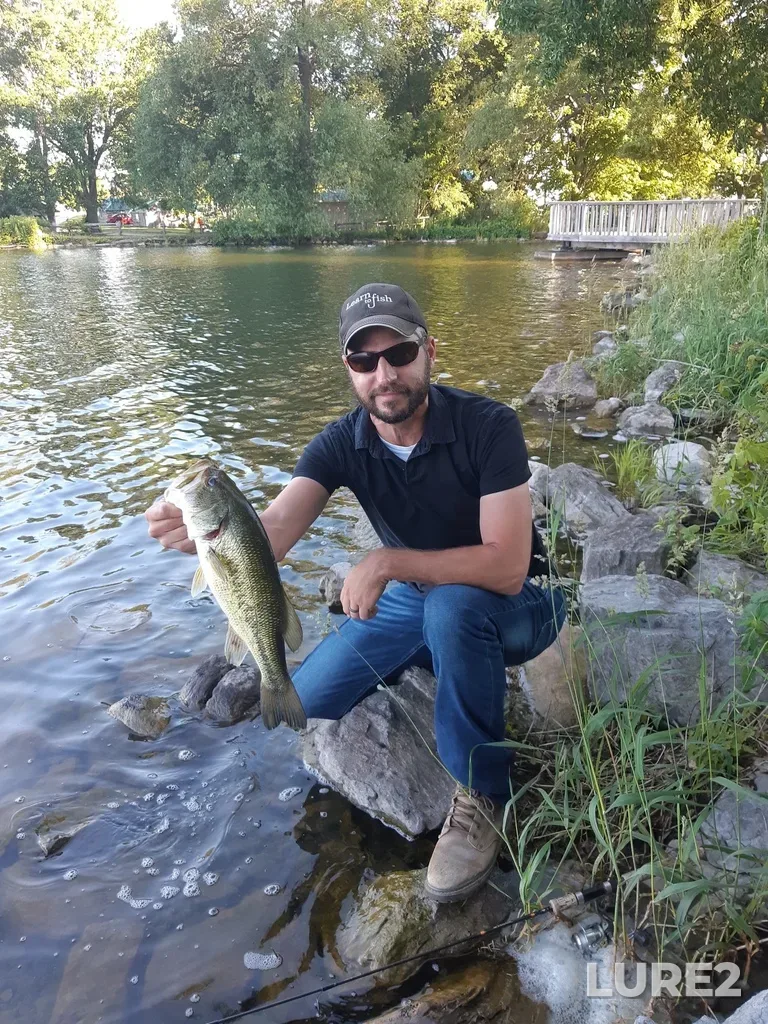 Largemouth bass — Lake on the Mountain, Jun 28, 2019, 2:52 PM