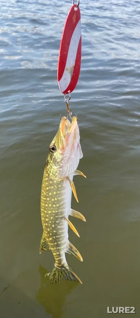 Pike — Lake Audy, Sep 30, 2025, 4:16 PM
