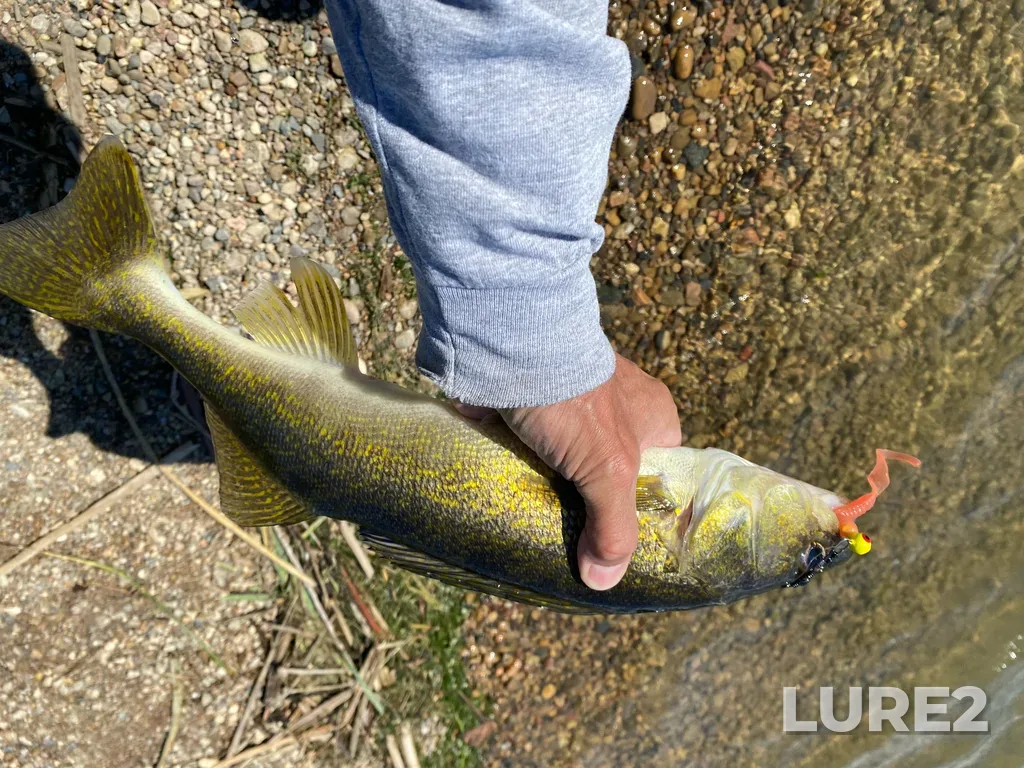 Walleye — Crawling Valley Reservoir, Jun 17, 4:14 PM