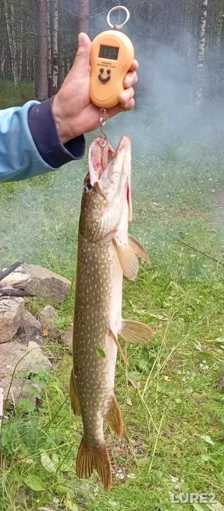 Pike — Turya, Jul 05, 9:40 AM