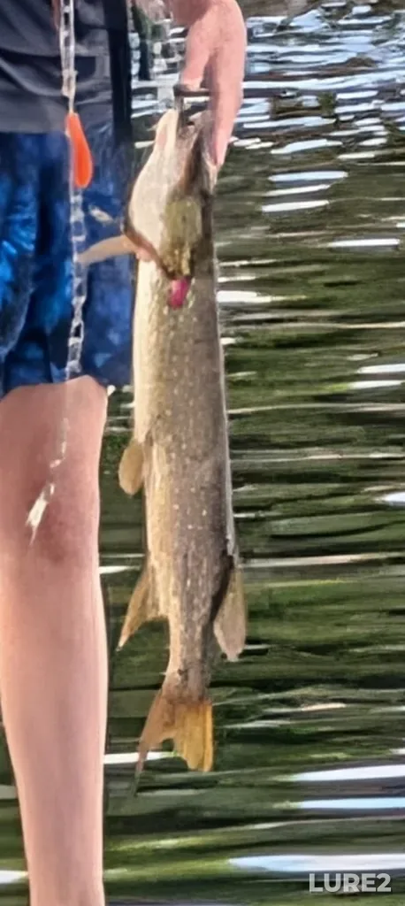 Pike — Baie Sauvage, Jul 11, 5:16 PM