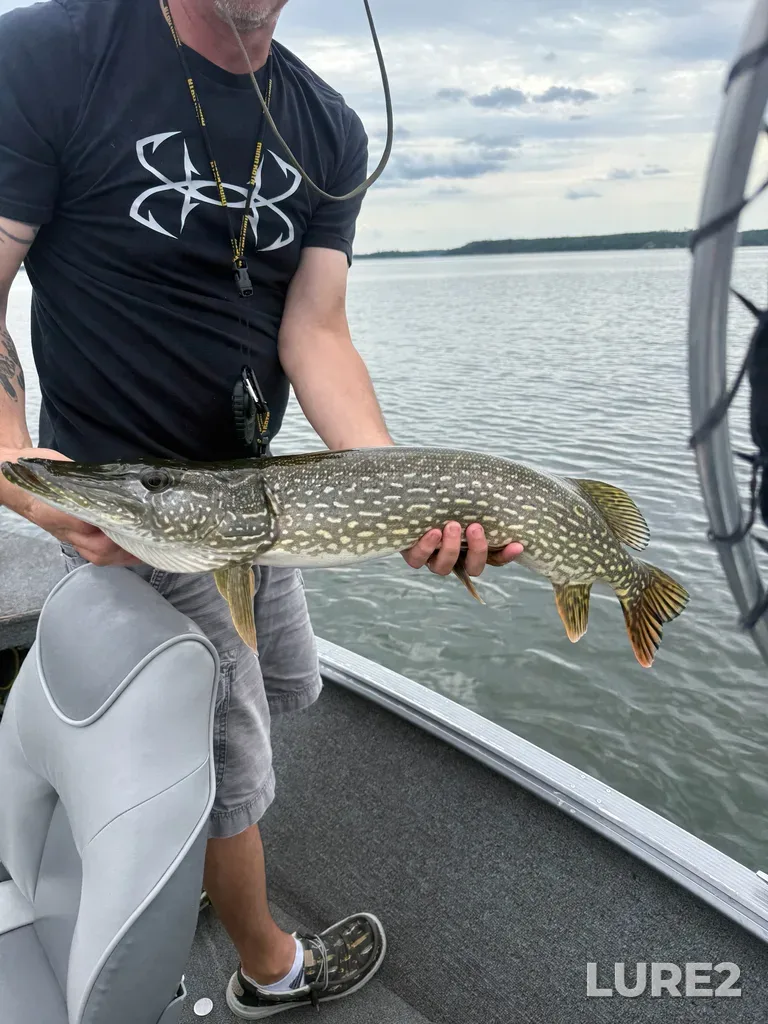 Pike — Big Sand Lake, Aug 14, 1:59 PM