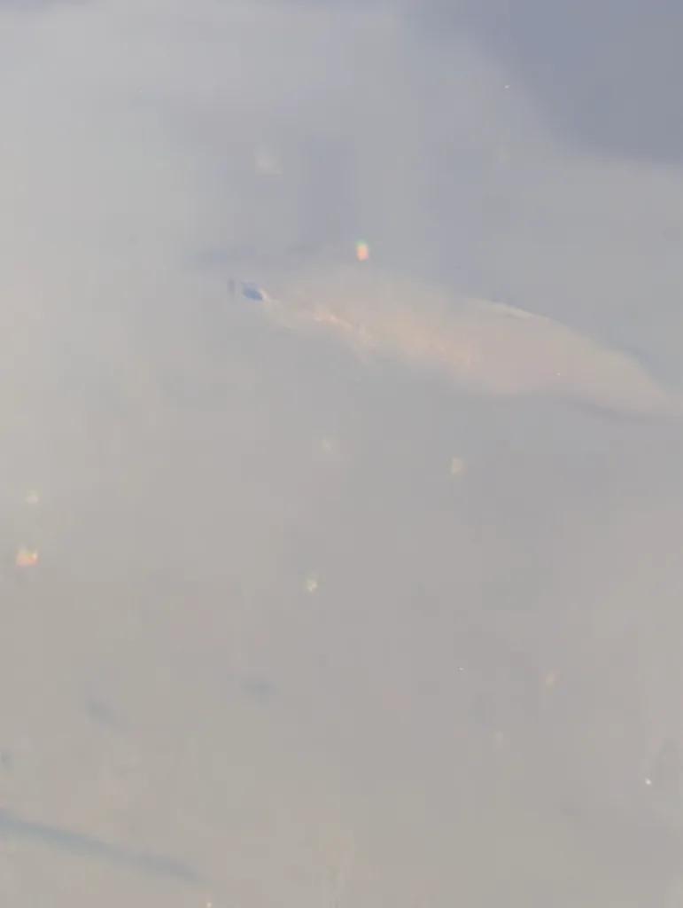 Smallmouth bass — Atikokan River, Sep 5, 2026