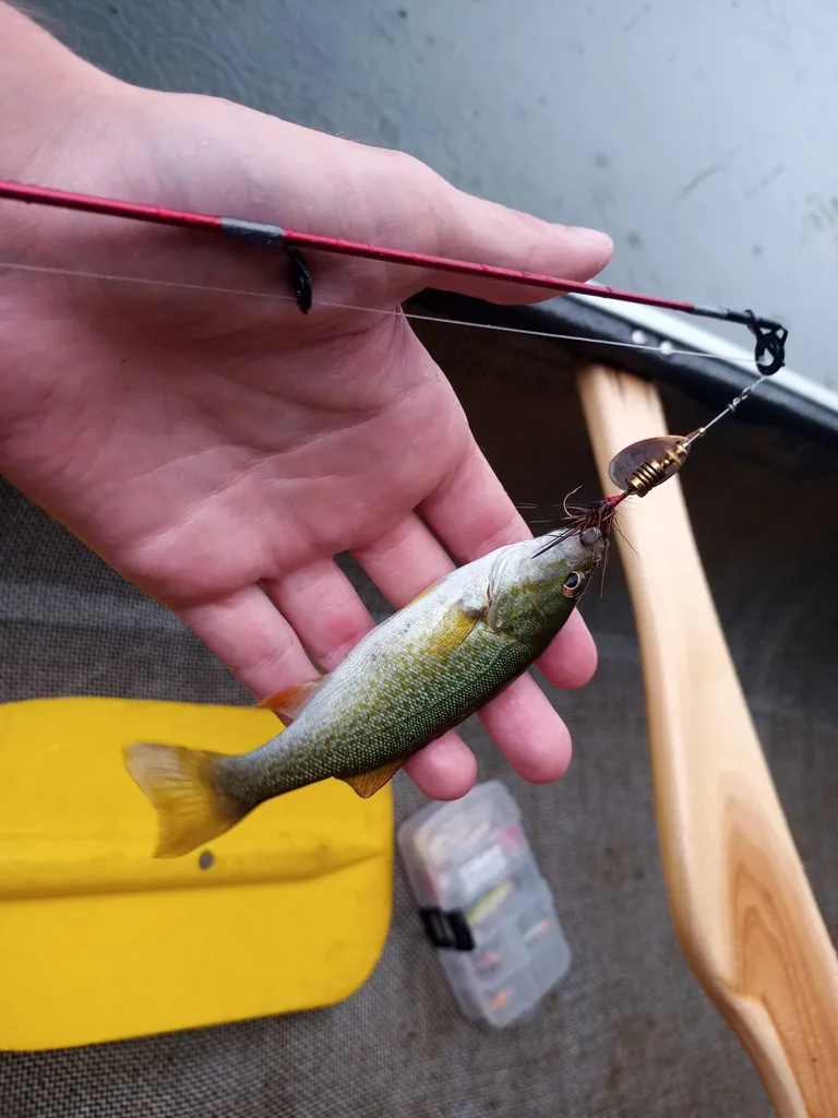 Smallmouth bass — Big Clear Lake, Aug 4, 2020