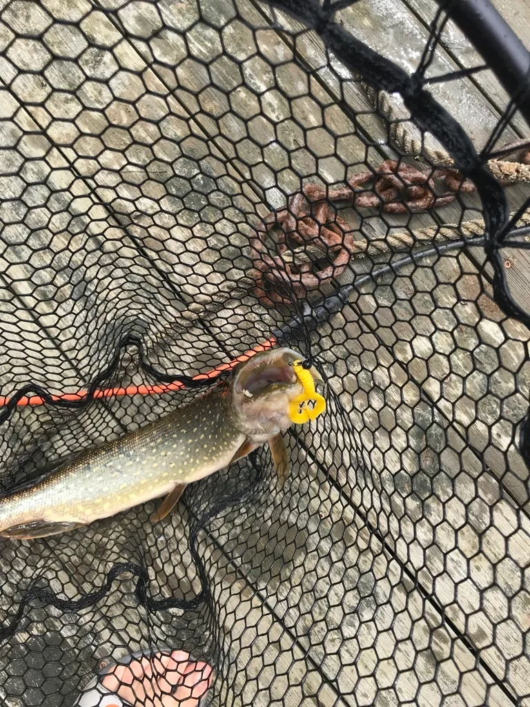 Pike — Island Lake, Jul 24, 2018
