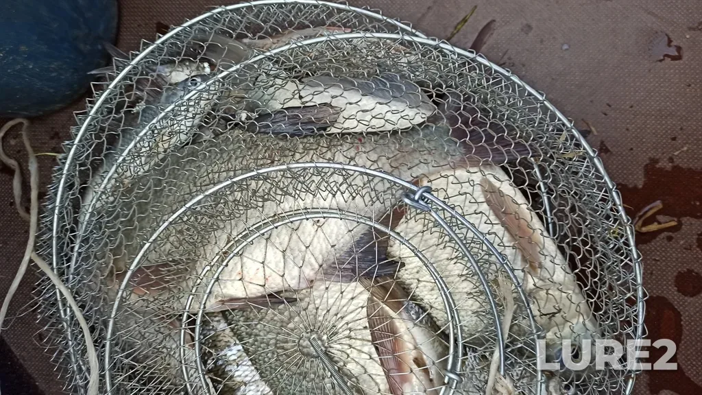 Bream — Bakhtemir, May 07, 2021, 4:46 PM