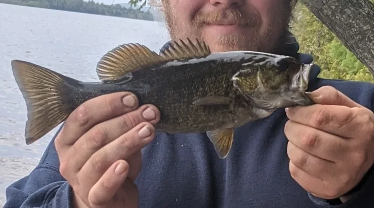 Smallmouth bass — Saint Croix River, May 22, 2021
