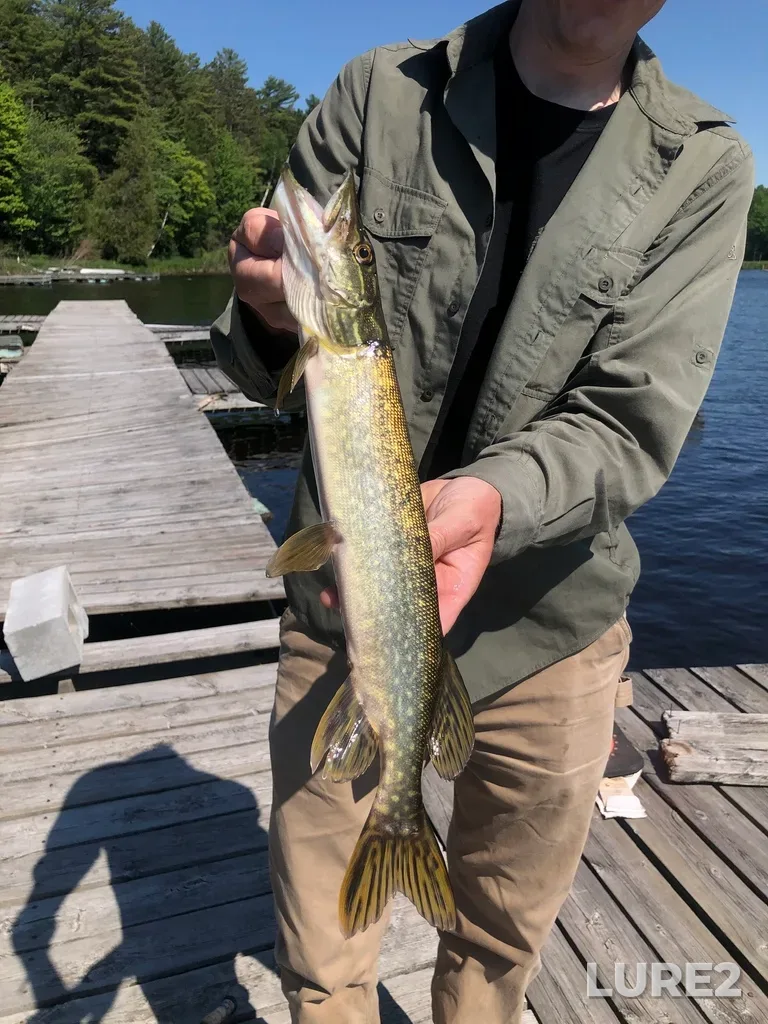 Pike — Key River, Jun 09, 2021, 4:01 PM