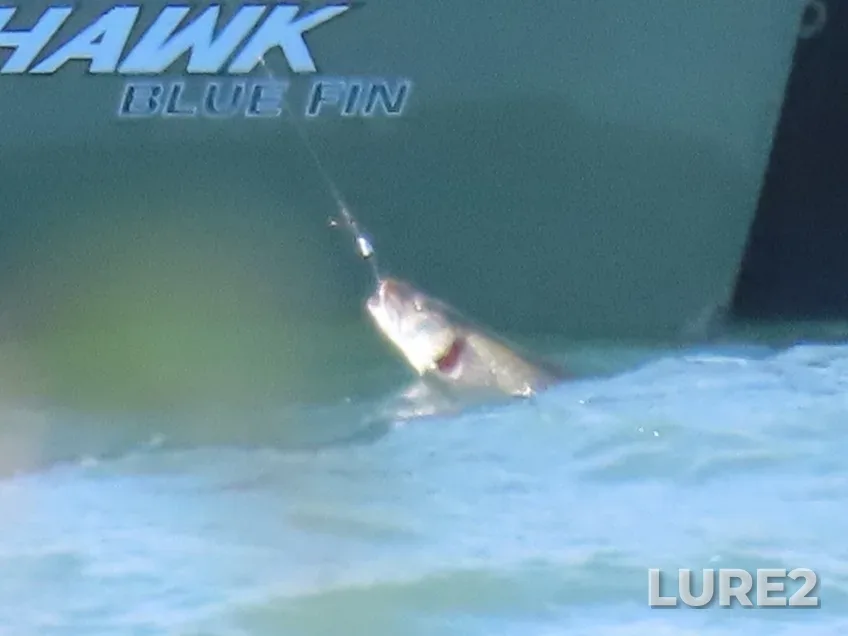 Pike — Lake Huron, Sep 06, 2021, 10:06 AM